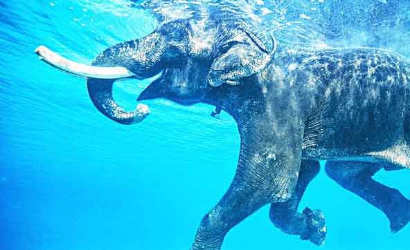 6-days-andaman tour packages