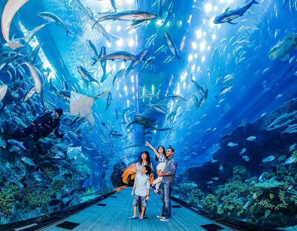 Dubai Aquarium – The Underwater Zoo