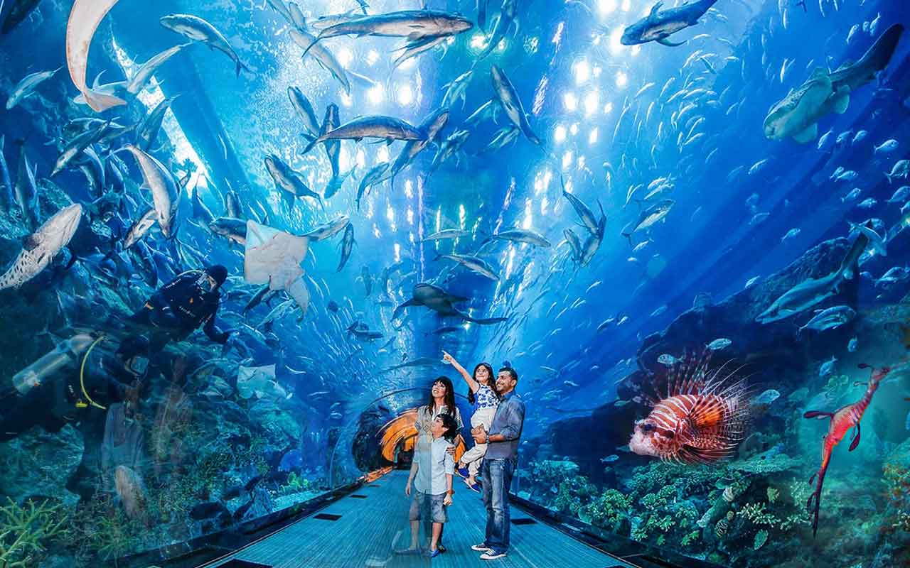 Dubai Aquarium