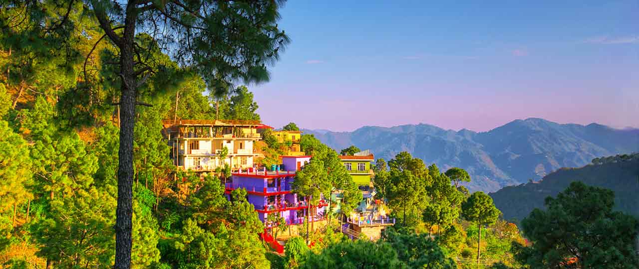 honeymoon packages in Himachal Pradesh
