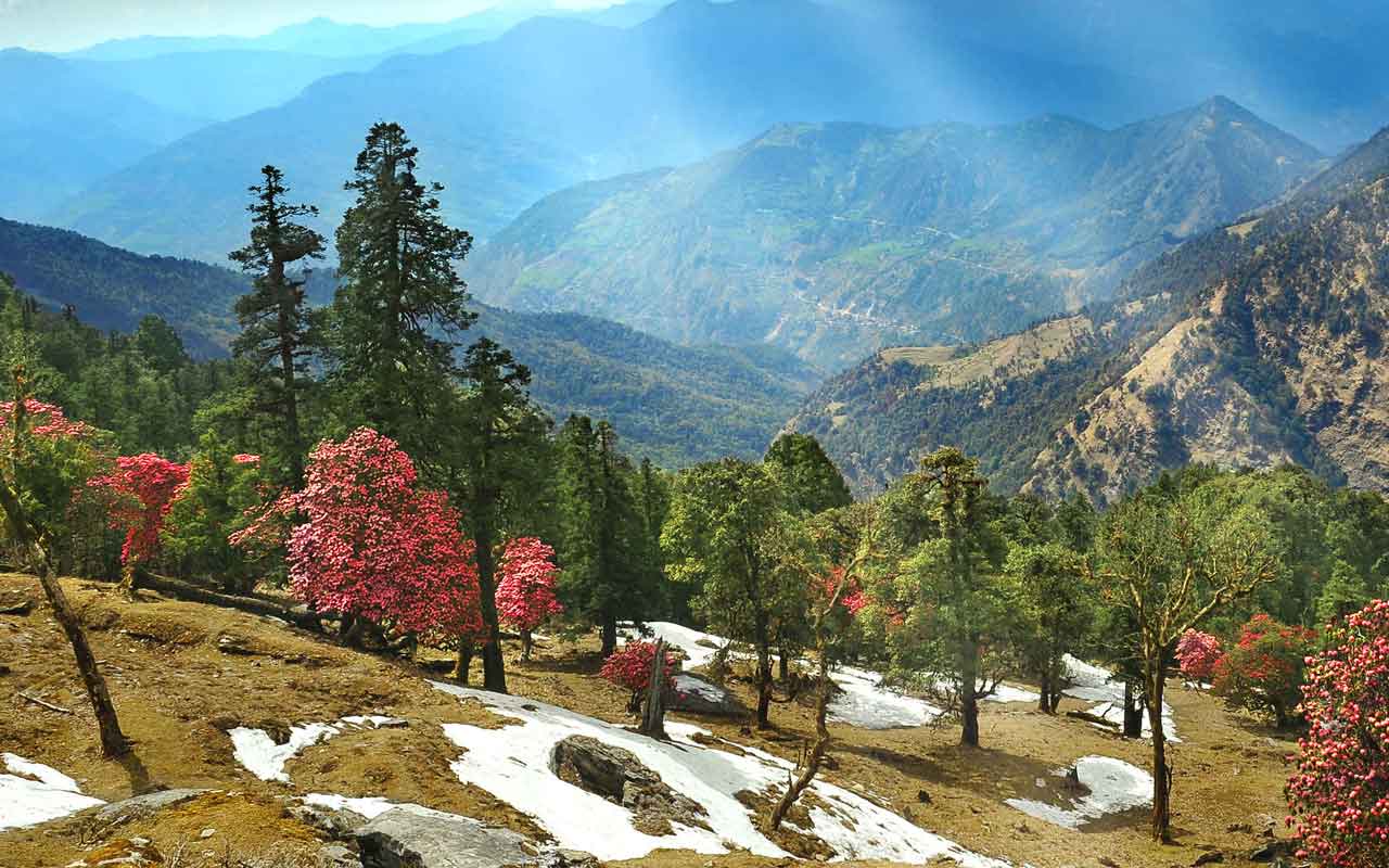 places to visit in uttarakhand in january 2022