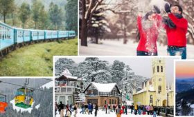 Shimla Honeymoon Package