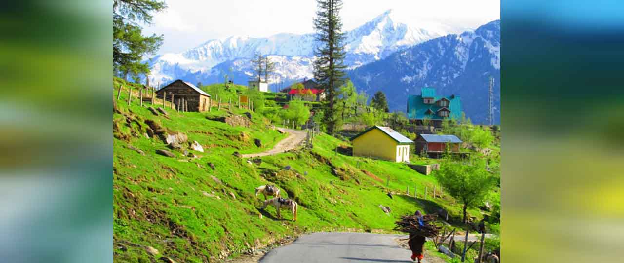 Best things to do in Manali - Gulaba Village