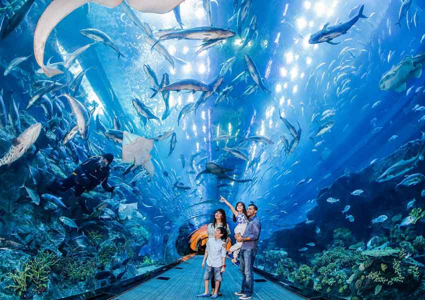 Dubai aquarium and underwater zoo