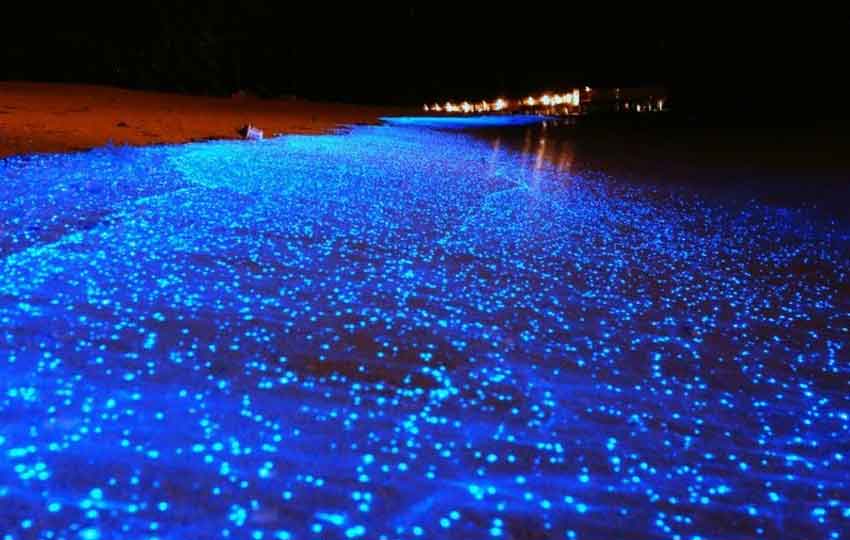Glow in the dark beach