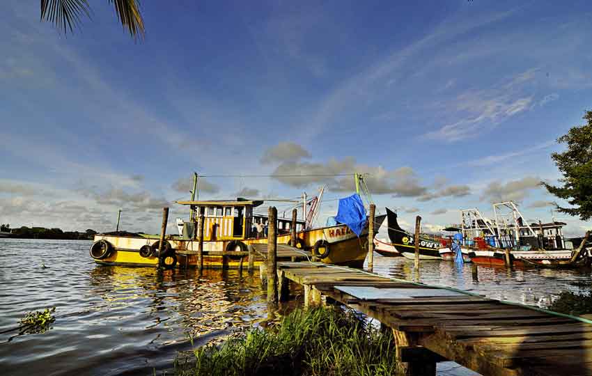 Fort Kochi, Kerala