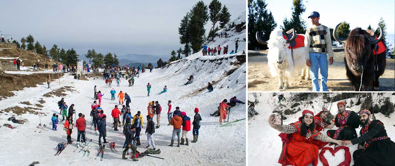 Best places in Shimla for honeymoon