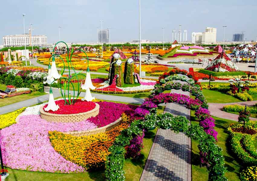 Miracle garden of Dubai