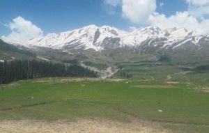 Badgam - honeymoon in Kashmir 3 Badgam - honeymoon in Kashmir