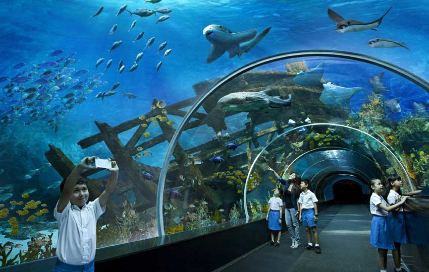 Marine Life Park