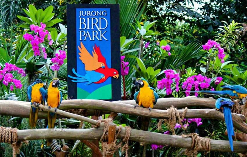 jurong bird park singapore