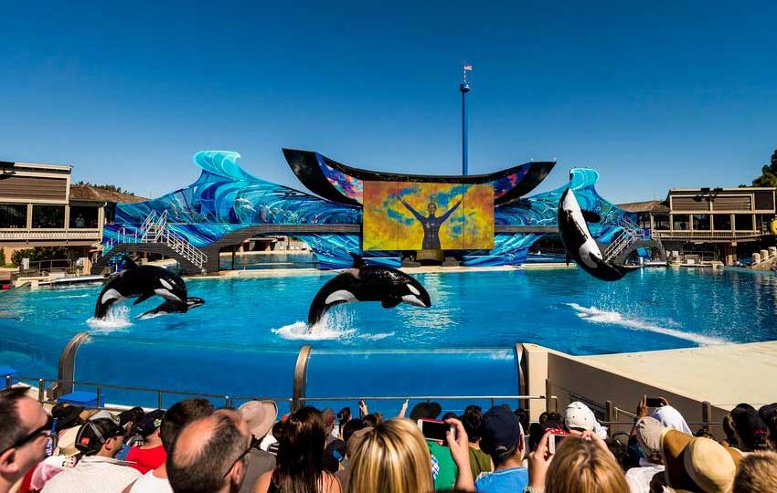 sea world marine park