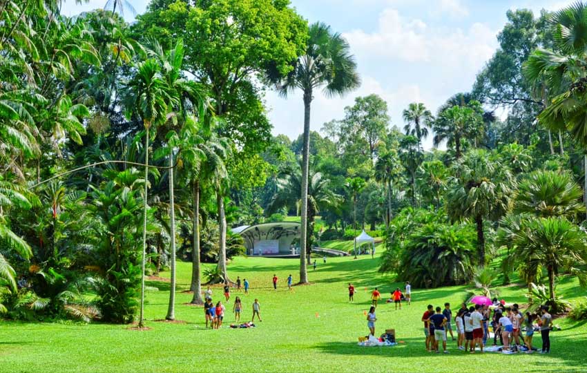 singapore botanic gardens