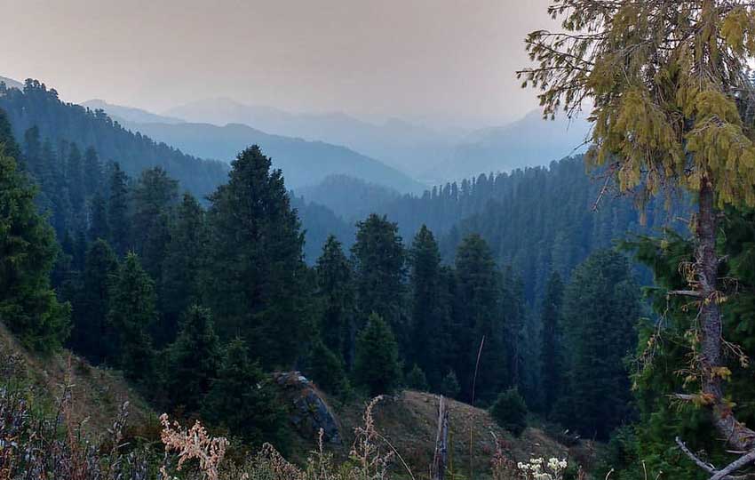 Best Places to Visit in Dalhousie, Dainkund-Peak