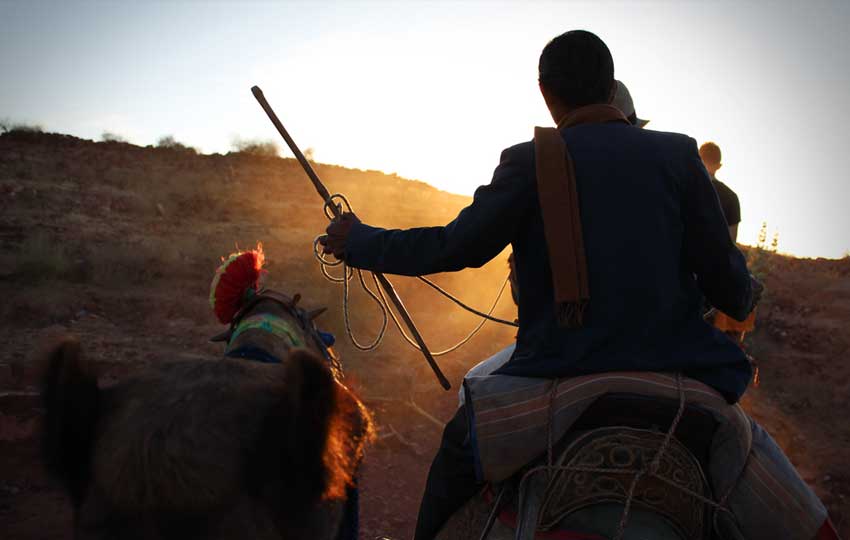 Camel Trekking in Rajasthan