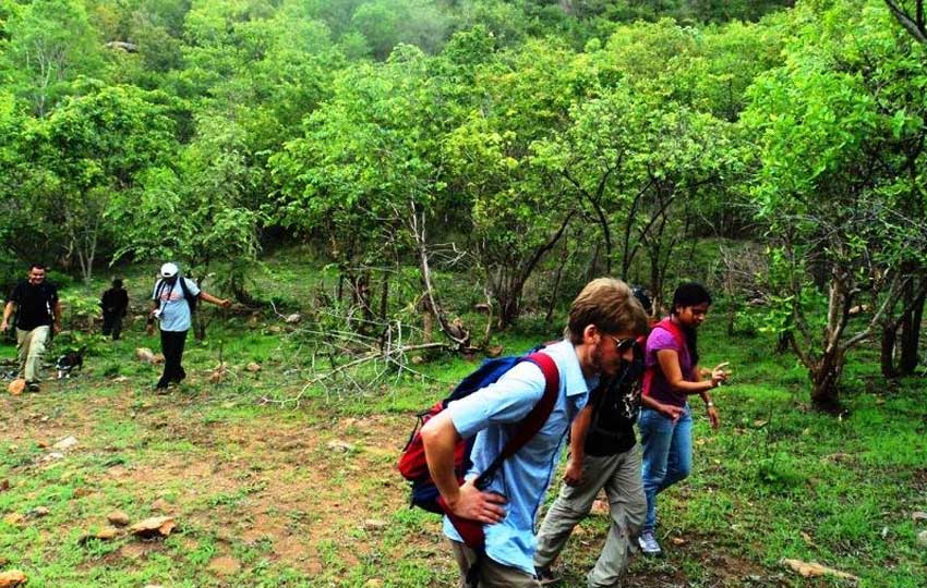 Trekking tours in India