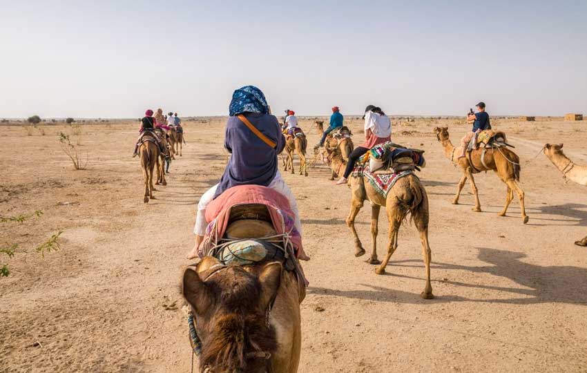 camel safari in rajasthan