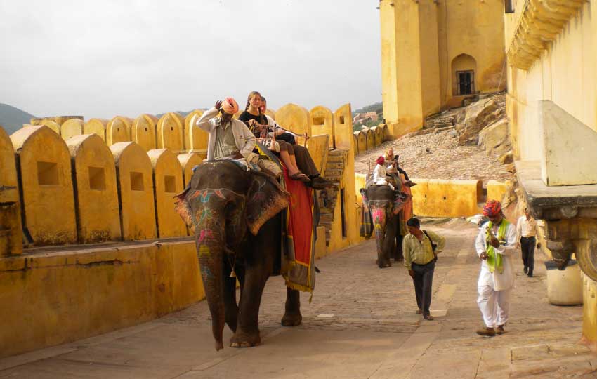 elephants at Amer