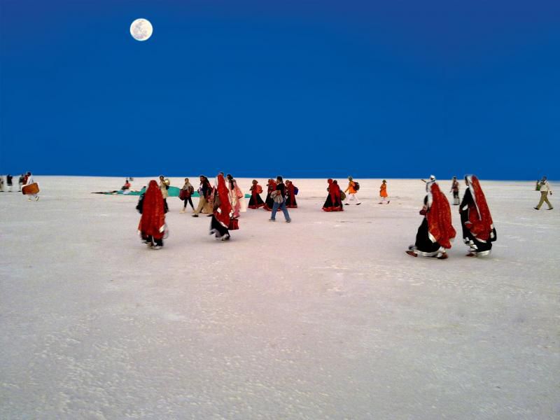 Rann Of Kutch Festival 