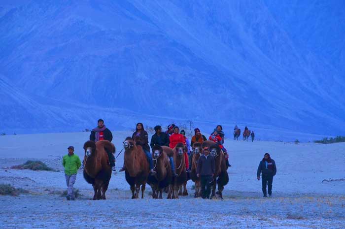 Nubra Valley