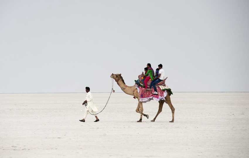 rann Camel Ride