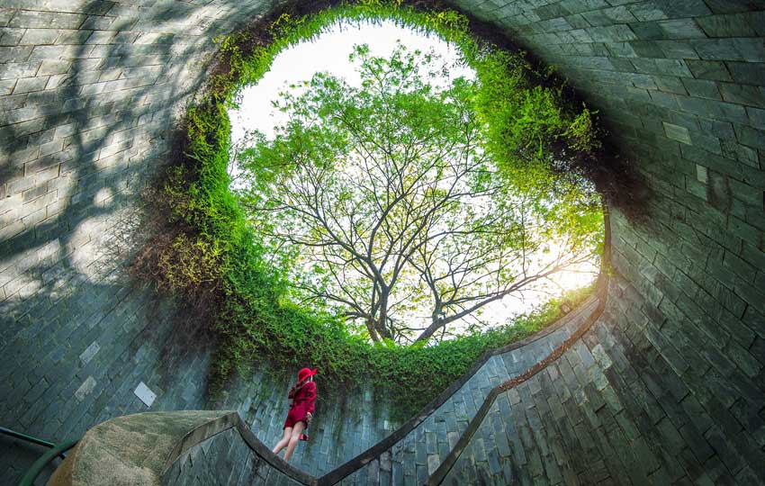 Girl Climbing to Fort Canning Park