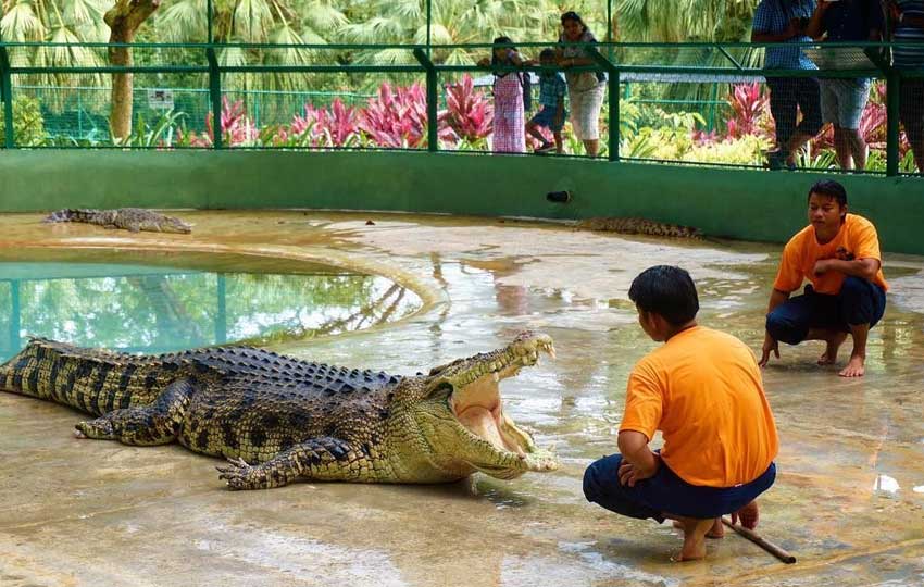 Crocodile Adventureland Langkawi