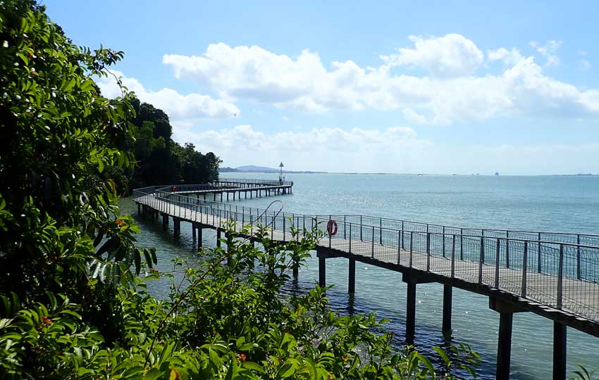 chek jawa