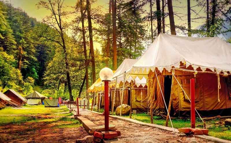 Tent lined up in a line straight on the top in Kasol that present the beautiful views of tree and yellows sky through sunrays. 