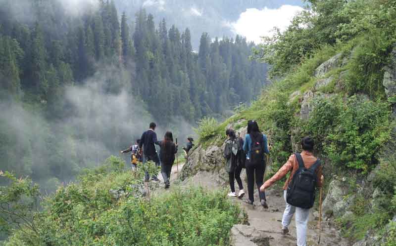 people trekking through the mountain edge along with trees and fog with the help of rode to the top in Kasol.
