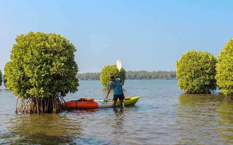 Kavvayi Backwaters