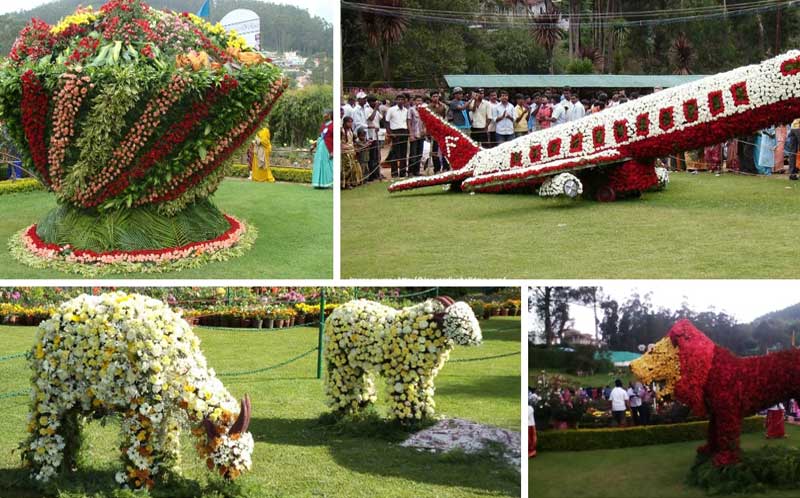 Summer Festival Of Ooty  