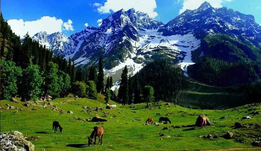 Best Places To Visit In Kashmir