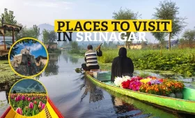Places to Visit in Srinagar