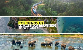 Top Things to Know Before Traveling to Sri Lanka