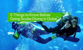 Going Scuba Diving in Dubai