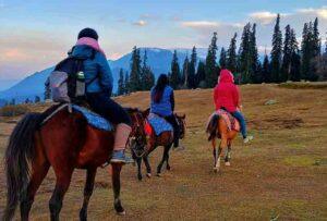 horse riding in gulmarg