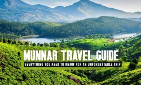 Munnar tour guide