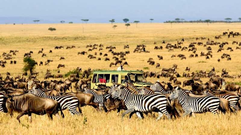 Serengeti National Park