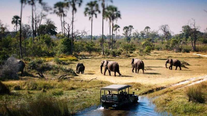 Zanzibar national park tanzania