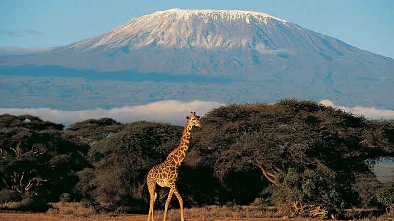 mount kilimanjaro tanzania