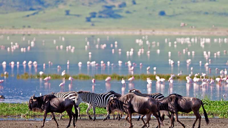ngorongoro crater national park