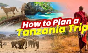 Plan a Tanzania Trip