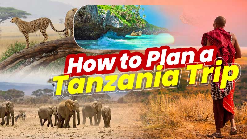 Plan a Tanzania Trip