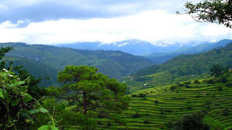 About Ranikhet Hill Station
