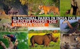 national parks in india