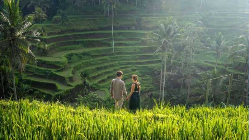 Explore Ubud’s Rice Terraces on a Romantic Walk