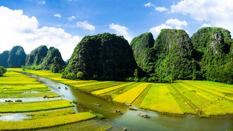 Beautiful Nature Everywhere vietnam