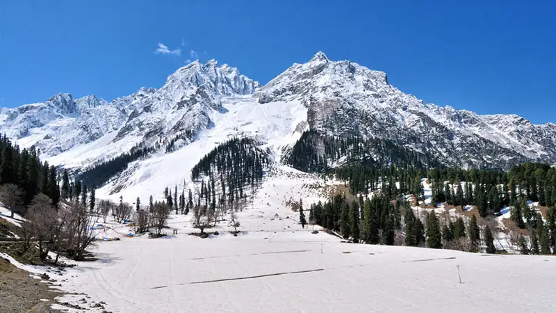 The Thajiwas Glacier - Sonmarg Travel Guide 
