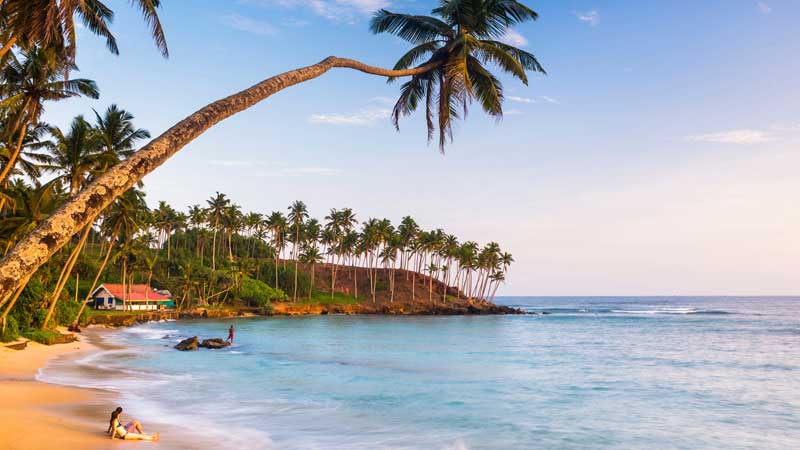 How to Travel to Sri Lanka from India: Complete Tour Planning Guide 7 mirissa beach sri lanka